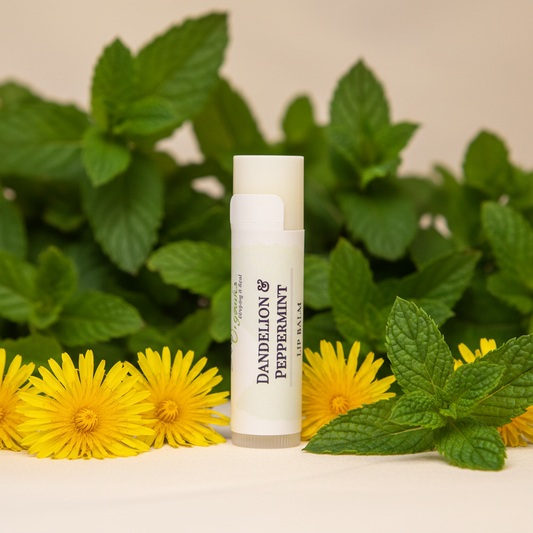 Dandelion Lip Balm - Peppermint Herbal Background